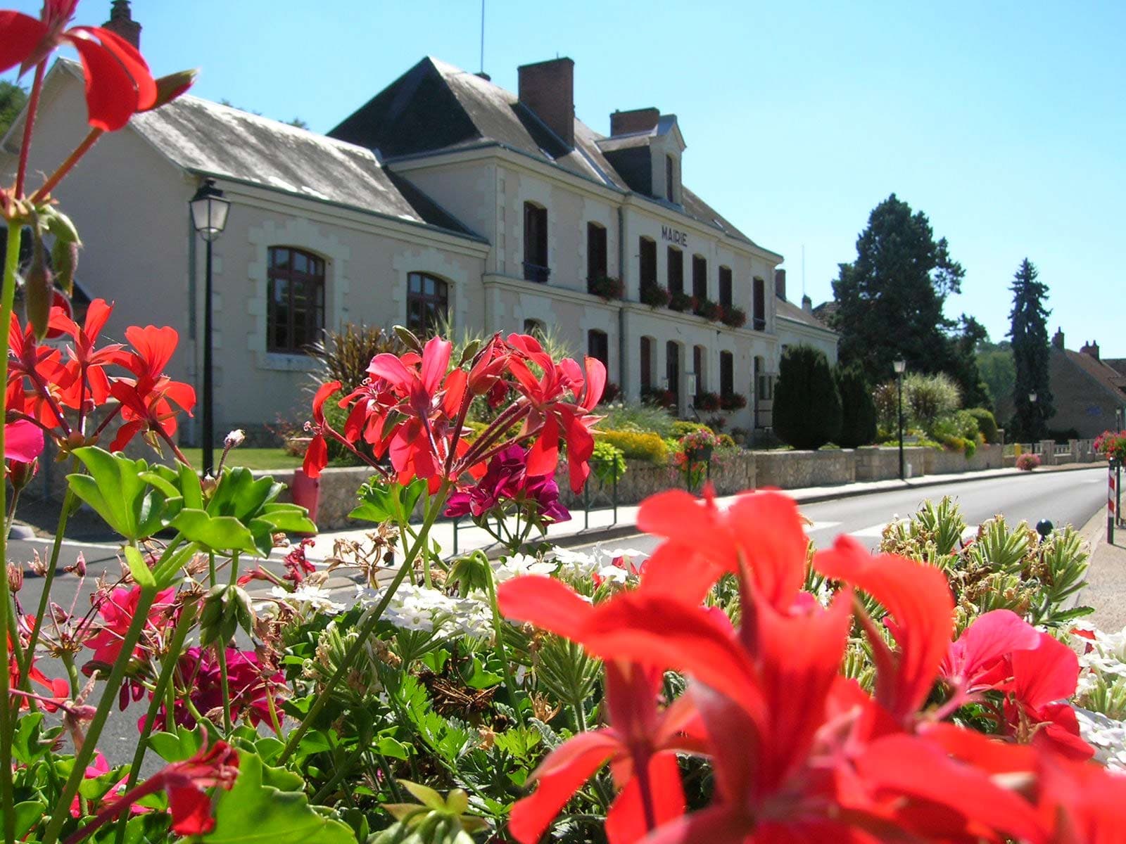 loirelovers Seigy - Activités touristiques